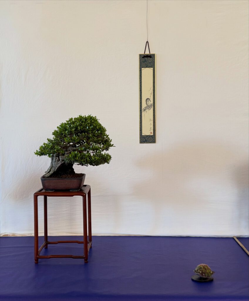 Gallery image 1