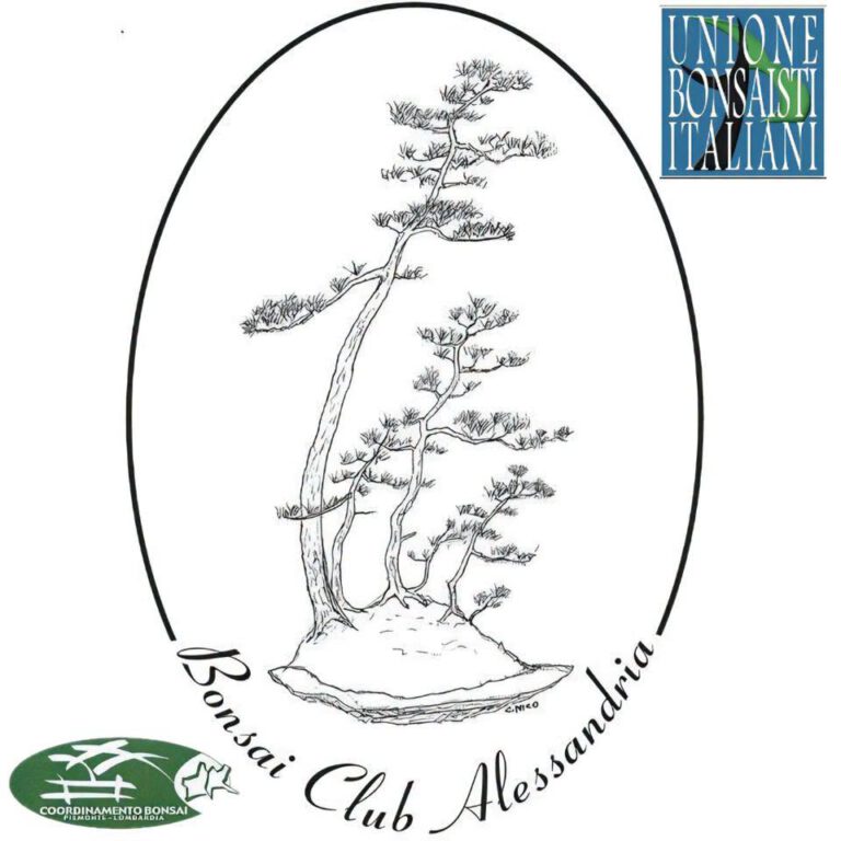 Bonsai Club Alessandria